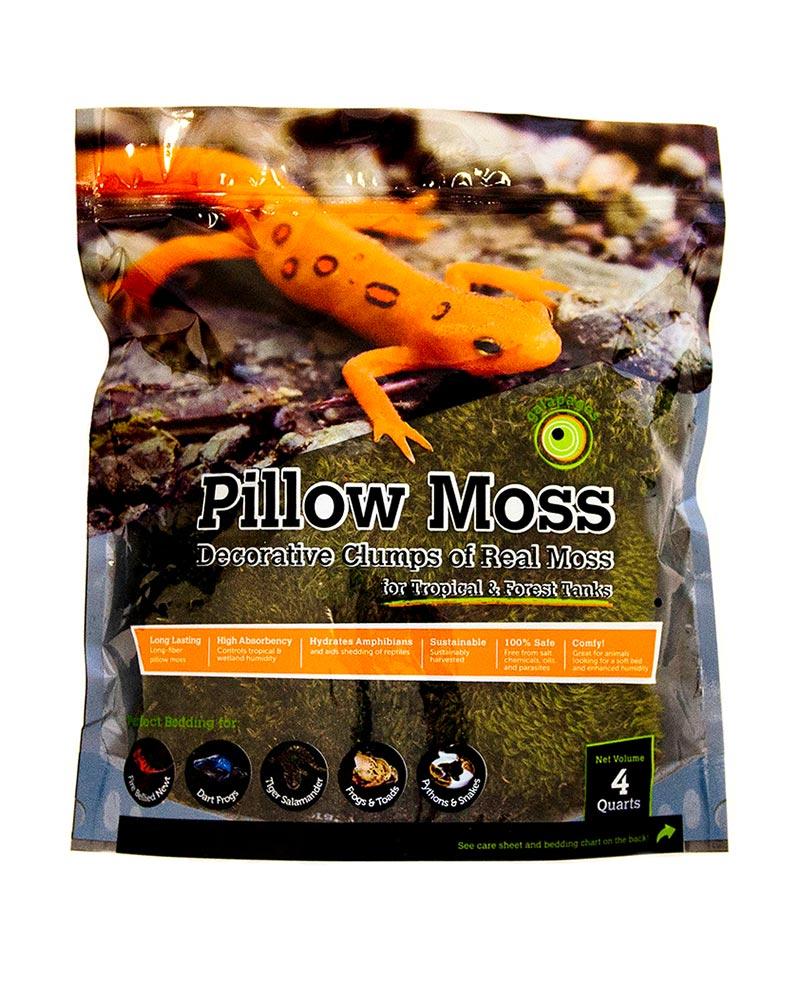 10 Count BABY PILLOW MOSS Perfect for Terrariums, Pet Home or Fairy Gardens  