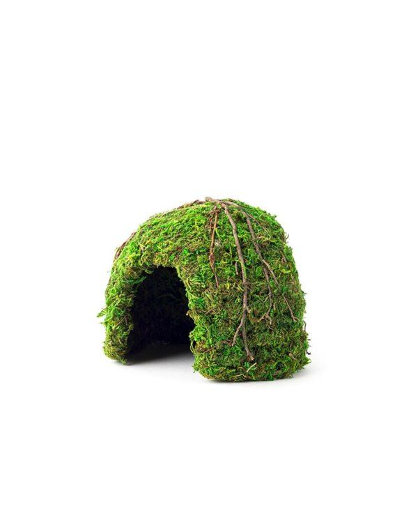 Mossy Dome 6in