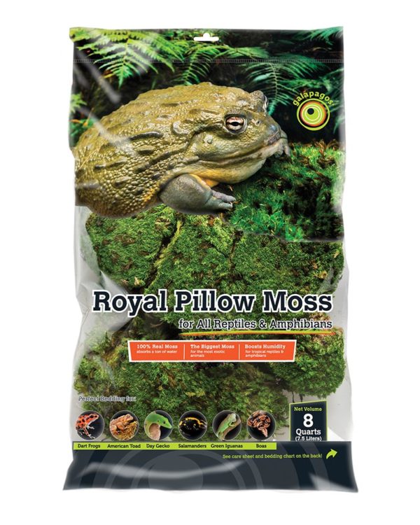 Galapagos Royal Pillow Moss - 8 qt