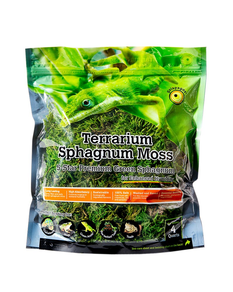 The Sphagnum Moss 